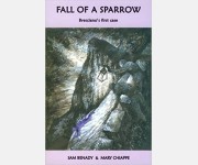 Bresciano Mystery: Fall of a Sparrow (Sam Benady & Mary Chiappe)